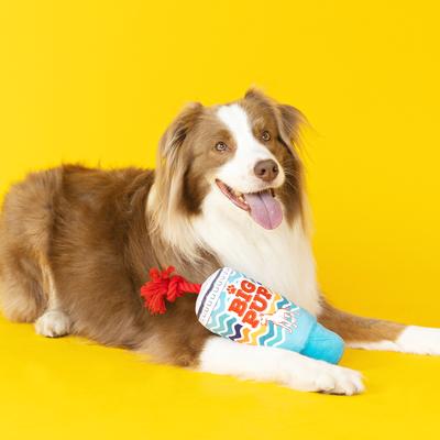 Show full view: Fringe Studio Big Pup Plush Dog Toy, Multi slide 4 of 5