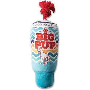 Fringe Studio Big Pup Plush Dog Toy, Multi