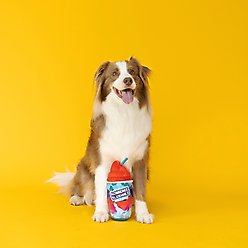 Fringe Studio Slobberee Slushiez Plush Dog Toy, Multi slide 2 of 3