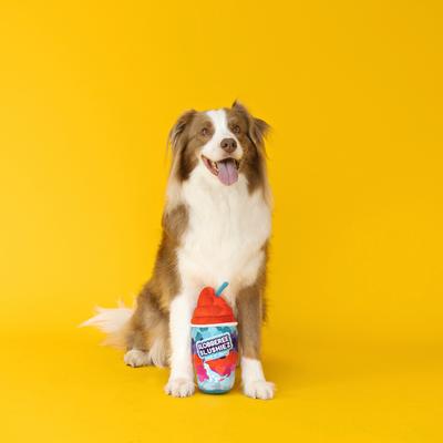 Show full view: Fringe Studio Slobberee Slushiez Plush Dog Toy, Multi slide 3 of 4