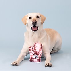 Fringe Studio Can'T Touch This Plush Dog Toy, Multi slide 2 of 3