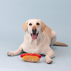 Fringe Studio Sun's Out Buns Out Plush Dog Toy, Multi slide 2 of 3