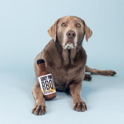 Show full view: Fringe Studio Saucy Paws Bbq Sauce Plush Dog Toy, Multi slide 3 of 4