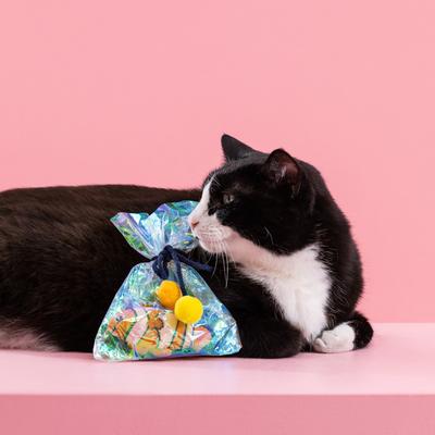 Show full view: Fringe Studio Clownin' Around Kicker Cat Toy, Multi slide 3 of 6