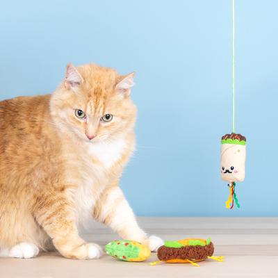 Show full view: Fringe Studio Flng A Gstr 3Pcs Multi Pack Cat Toy, Multi slide 3 of 4