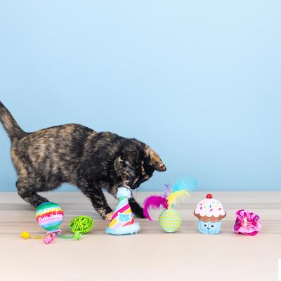 Show full view: Fringe Studio Happy Purrthday Cat Toy, Multi, Set of 6 slide 4 of 4