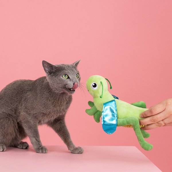 Fringe Studio Hop On By Kicker Cat Toy, Multi