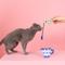 Show in main carousel: Fringe Studio High Tea Cat Toy, Multi, Set of 2 slide 4 of 6