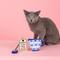 Show in main carousel: Fringe Studio High Tea Cat Toy, Multi, Set of 2 slide 3 of 6