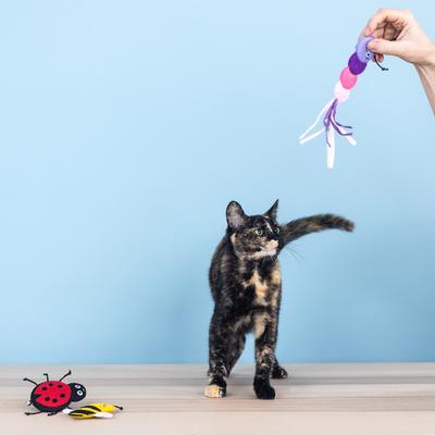 Show full view: Fringe Studio Living Th Bug Life Cat Toy, Multi, Set of 3 slide 4 of 4