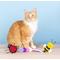 Show in main carousel: Fringe Studio Living Th Bug Life Cat Toy, Multi, Set of 3 slide 3 of 4