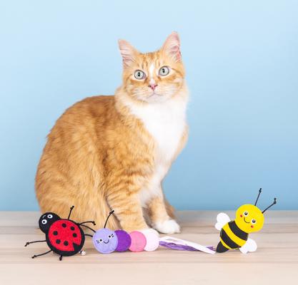 Show full view: Fringe Studio Living Th Bug Life Cat Toy, Multi, Set of 3 slide 3 of 4