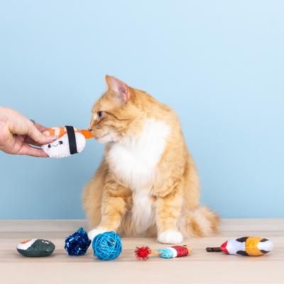 Show full view: Fringe Studio True Soymates Cat Toy, Multi, Set of 6 slide 2 of 2