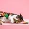 Show in main carousel: Fringe Studio Cat-Us Friends Cat Toy, Multi, Set of 3 slide 3 of 5
