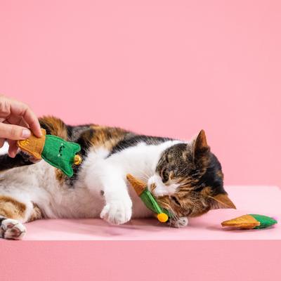 Show full view: Fringe Studio Cat-Us Friends Cat Toy, Multi, Set of 3 slide 3 of 5