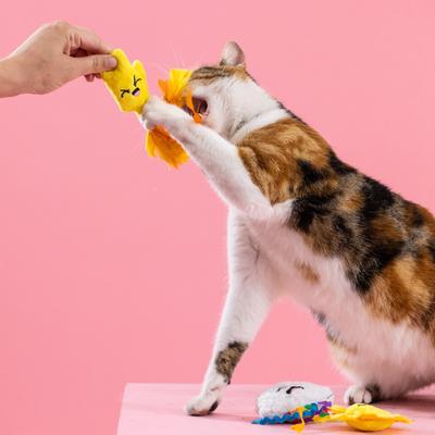 Show full view: Fringe Studio Purr-Fect Weather Cat Toy, Multi, Set of 3 slide 4 of 6