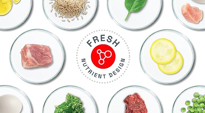 Royal Canin Fresh Health Nutrition Senior Frozen Dog Food