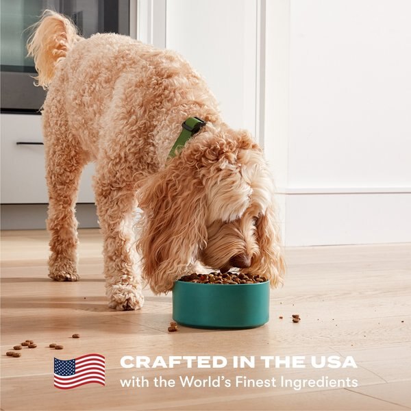 Show full view: Jinx Chicken Crumbles High-Protein Dry Dog Food Topper, 4-oz bag, 2 count slide 9 of 14
