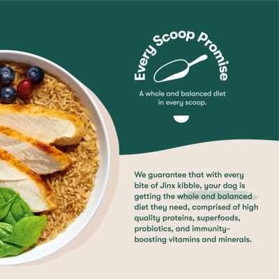 Show full view: Jinx Jr Whole Grain Chicken Recipe Natural Dry Puppy Food, 12-lb bundle slide 6 of 10