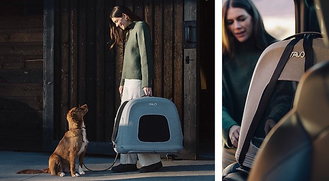 Tavo Pets Crispin Protection System Dog & Cat Kennel