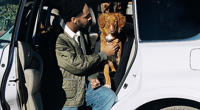 Tavo Pets Crispin Protection System Dog & Cat Kennel