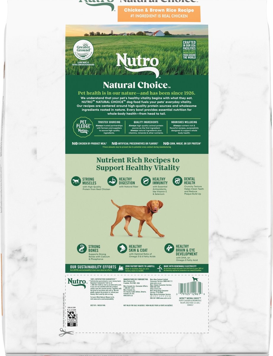 nutro natural choice puppy large breed