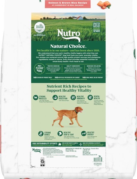 Nutro High Protein Grain-Free Salmon & Chickpeas Recipe Dry Dog Food