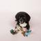 Show in main carousel: Fringe Studio Mersloth-3 Pieces Small Dog Toy slide 3 of 4