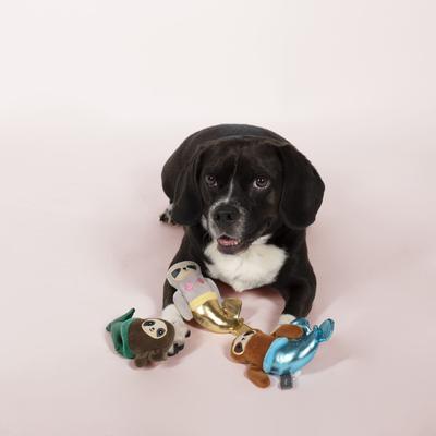 Show full view: Fringe Studio Mersloth-3 Pieces Small Dog Toy slide 3 of 4