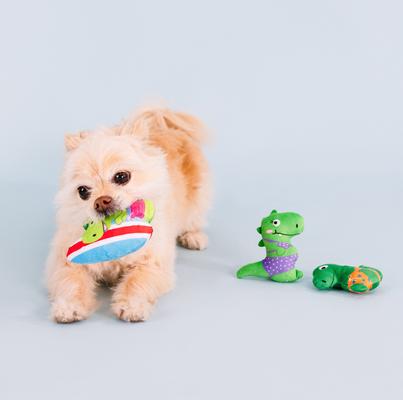 Show full view: Fringe Studio Rawrin Summer 3 Piece Small Dog Toy slide 4 of 6