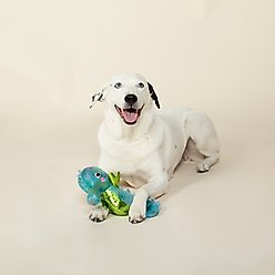 Fringe Studio Shelly The Seahorse Plush Dog Toy slide 2 of 3