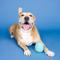 Show in main carousel: Fringe Studio You're A Hoot Rubber Dog Toy, Turquoise slide 4 of 5