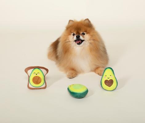 Show full view: Fringe Studio Avocado 3 Pieces Small Dog Toy slide 3 of 5