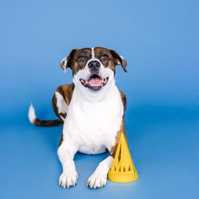 Show full view: Fringe Studio You Cone Do It Rubber Dog Toy, Yellow slide 5 of 7