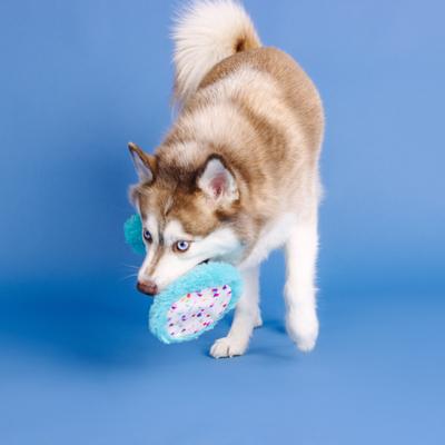 Show full view: Fringe Studio Yappy Barkday Rubber Plush Dog Toy slide 5 of 7