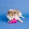 Show in main carousel: Fringe Studio You Cone Do It Rubber Dog Toy, Hot Pink slide 6 of 8