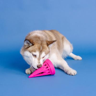 Show full view: Fringe Studio You Cone Do It Rubber Dog Toy, Hot Pink slide 6 of 8