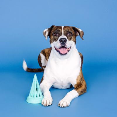 Show full view: Fringe Studio You Cone Do It Rubber Dog Toy, Turquoise slide 6 of 9