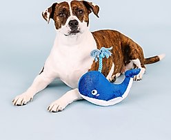 Fringe Studio Whale, Hello There Plush Dog Toy slide 2 of 4