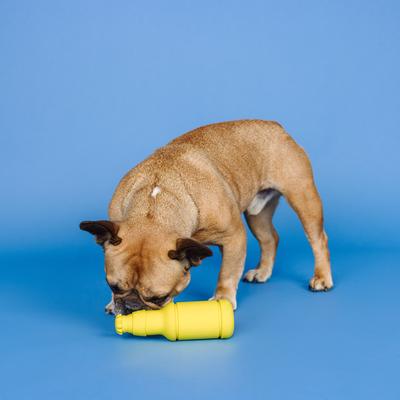 Show full view: Fringe Studio Barkarona Rubber Plush Dog Toy slide 4 of 7