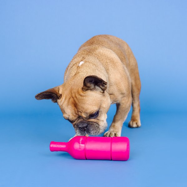 Fringe Studio Sweet On The Inside Rubber Dog Toy