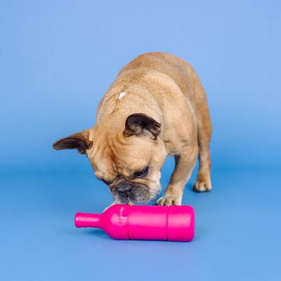 Show full view: Fringe Studio Wine Please Rubber Plush Dog Toy slide 4 of 6