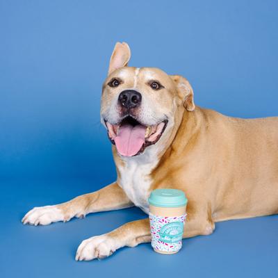 Show full view: Fringe Studio Coffee Gets Me Goin Rubber Plush Dog Toy slide 5 of 6