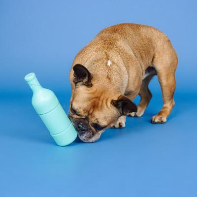 Show full view: Fringe Studio Drinkin Wine Felin Fine Rubber Plush Dog Toy slide 5 of 6