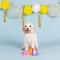 Show in main carousel: Fringe Studio Its A Waterfl Life 3 Piece Small Dog Toy slide 3 of 4