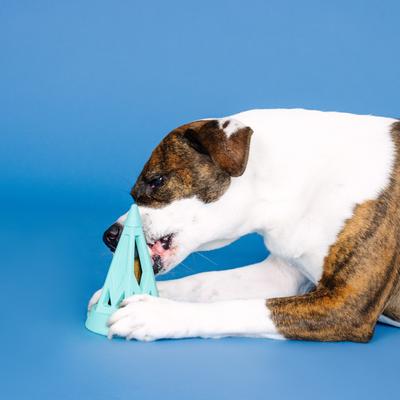 Show full view: Fringe Studio You Cone Do It Rubber Dog Toy, Turquoise slide 5 of 9