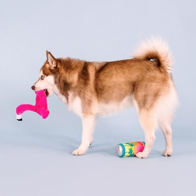 Show full view: Fringe Studio Pool Days, Sun Rays 2 Piece Dog Toy slide 4 of 6