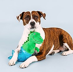 Fringe Studio Mer-Rex Plush Dog Toy slide 2 of 4