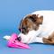 Show in main carousel: Fringe Studio You Cone Do It Rubber Dog Toy, Hot Pink slide 5 of 8