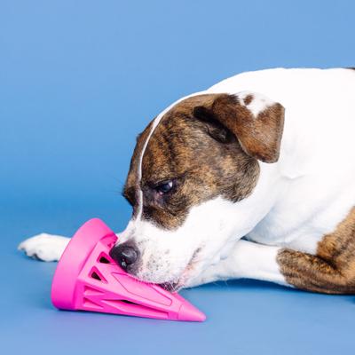 Show full view: Fringe Studio You Cone Do It Rubber Dog Toy, Hot Pink slide 5 of 8